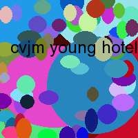 cvjm young hotel ymca